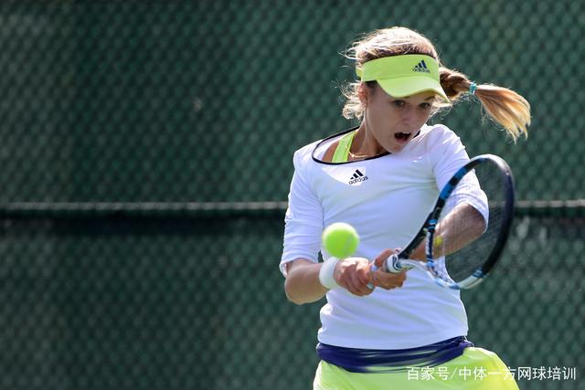 而是依靠智 而是依靠智