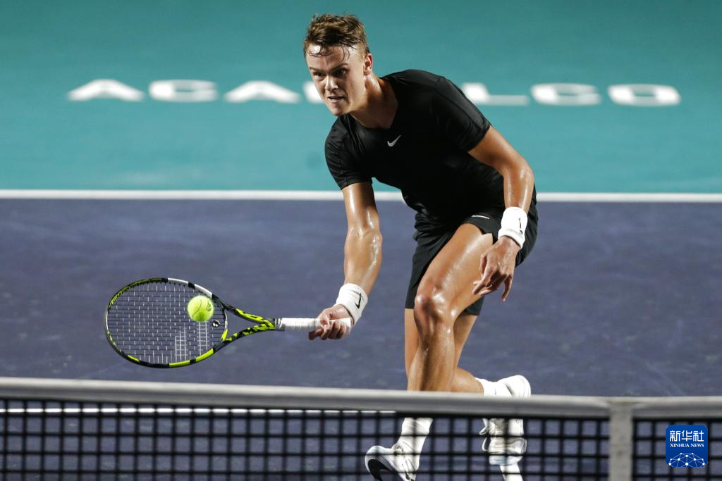 球迷们不仅 球迷们不仅